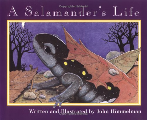 A Salamander's Life (Nature Upclose)