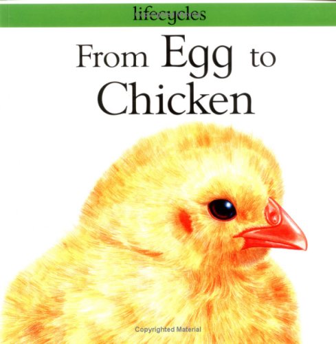 From Egg to Chicken (Lifecycles)