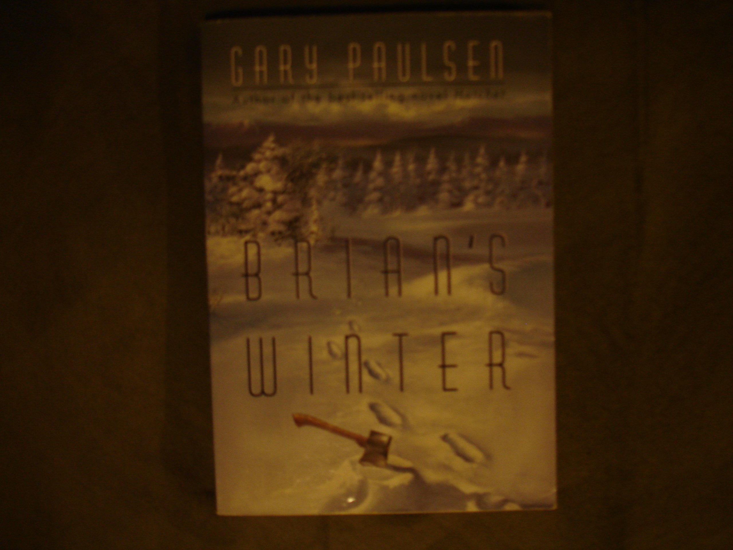 Brians Winter