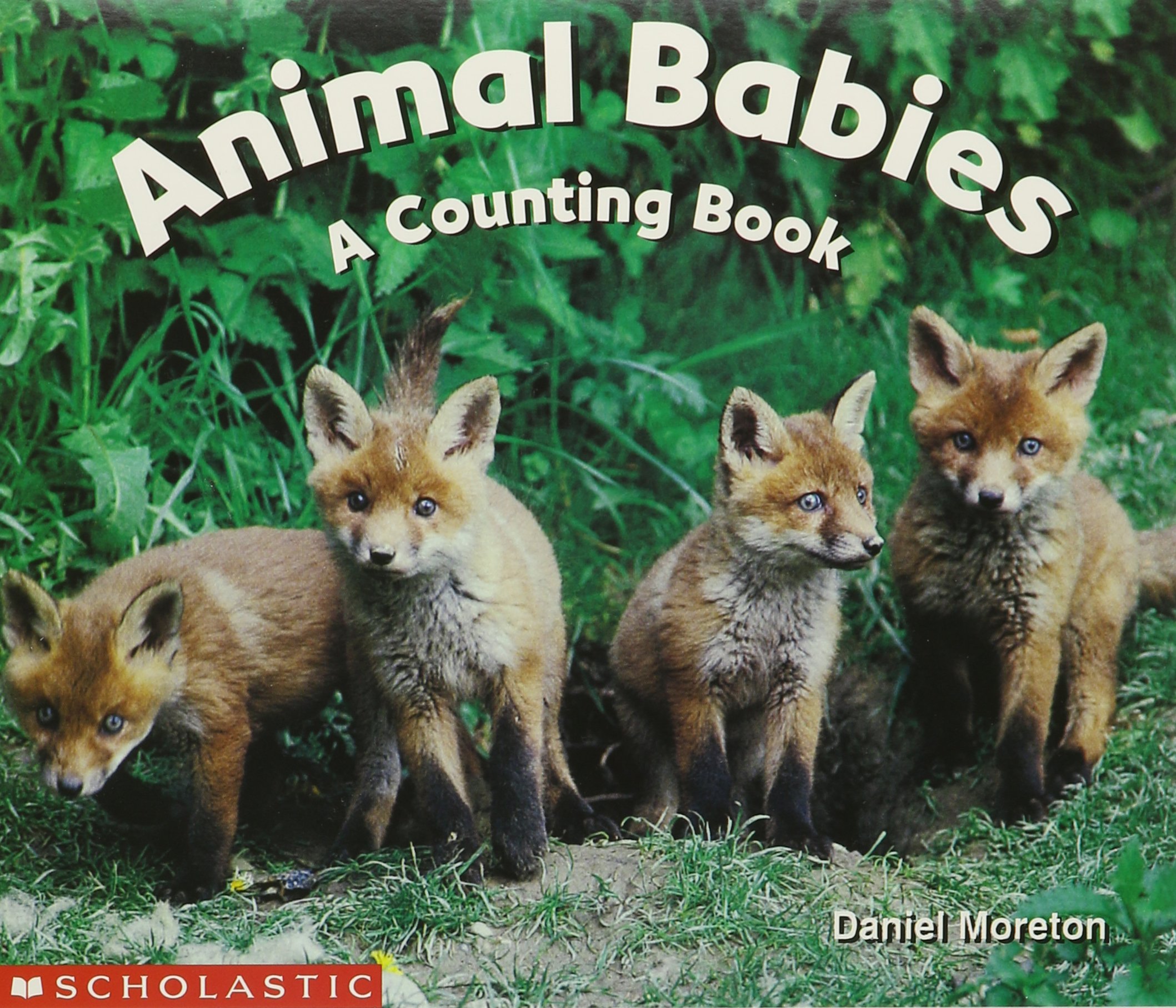 Animal Babies: A Counting Book (Science Emergent Readers)