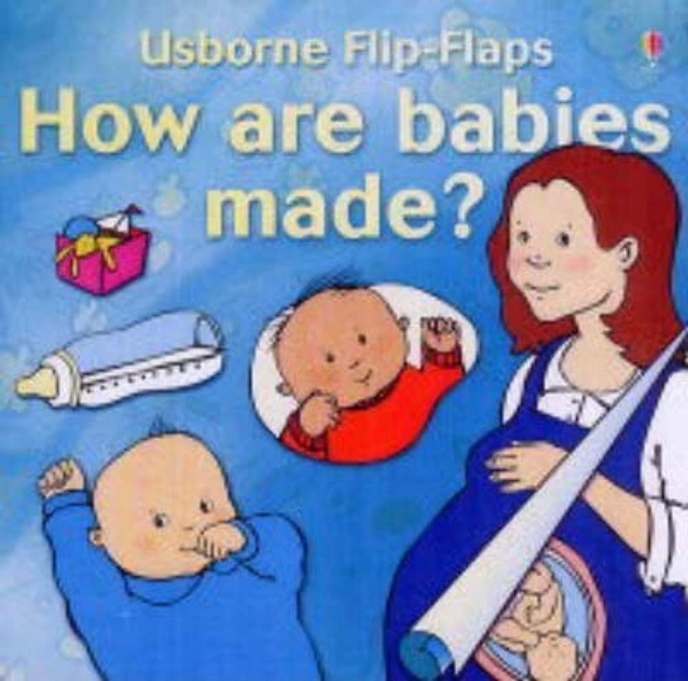 How Are Babies Made? (Usborne Flip Flaps)