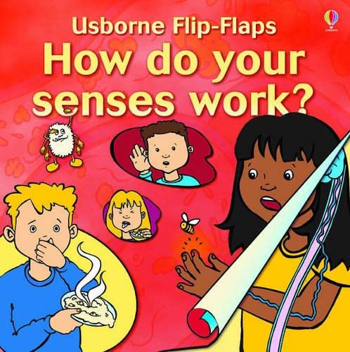 How Do Your Senses Work? (Flip Flaps Series)