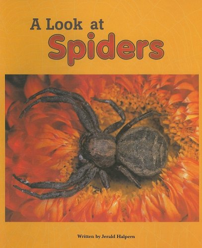 A Look at Spiders (Pair-It Books: Early Fluency: Stage 3)