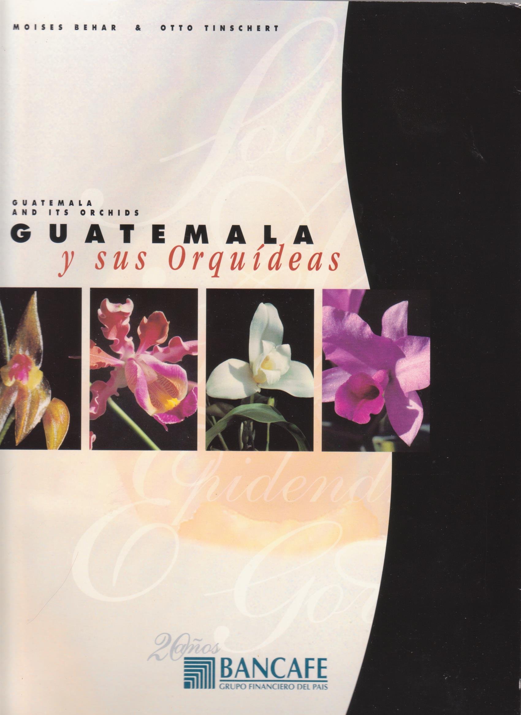 Guatemala y sus Orquideas / Guatemala and its Orchids (Spanish and English Edition)