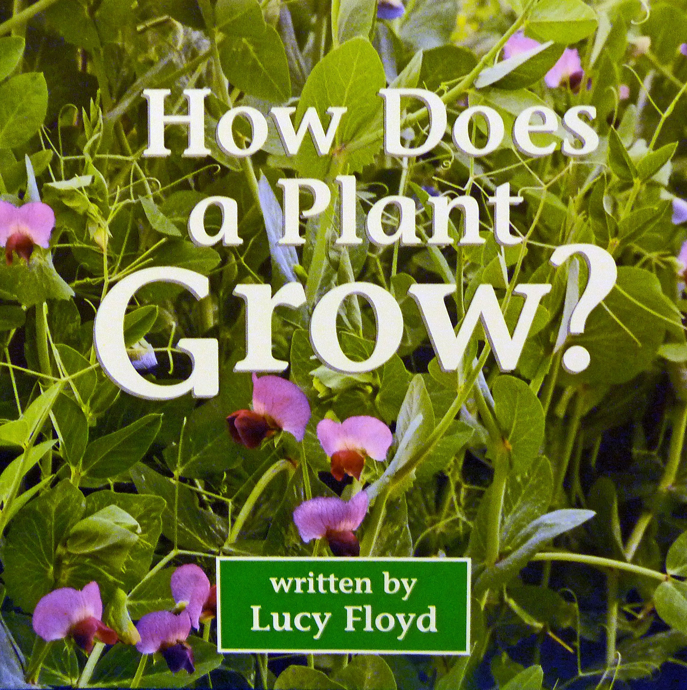Harcourt School Publishers Science: Rdr:How Does A Plant Grow 2