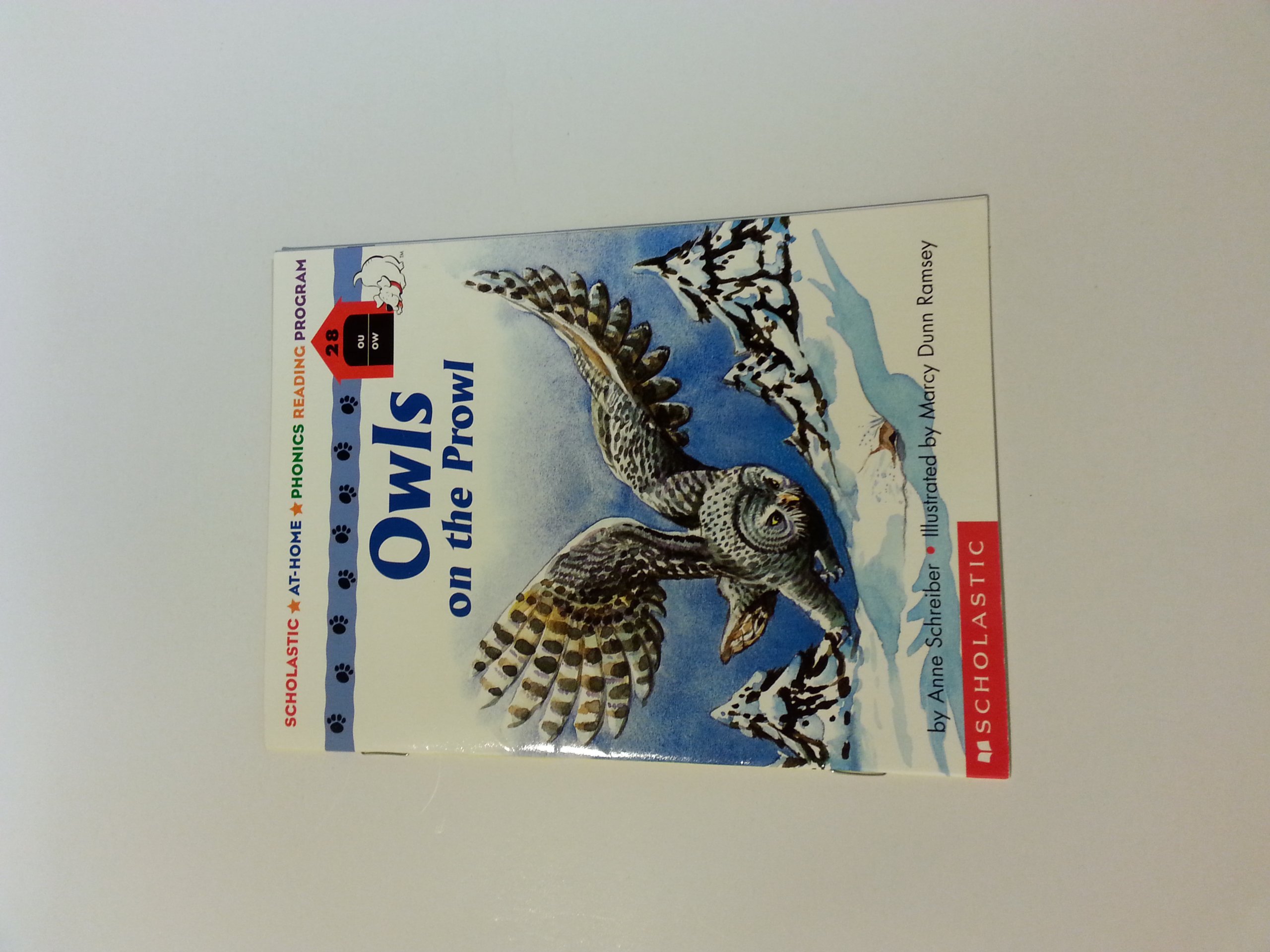 Owls on the Prowl