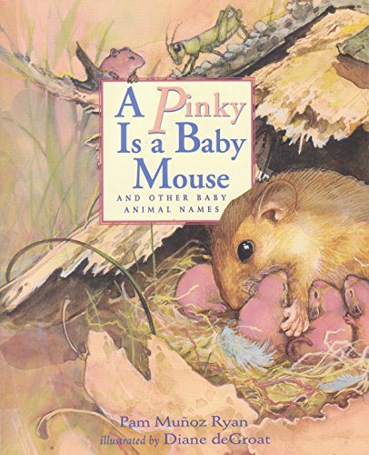 A Pinky is a Baby Mouse