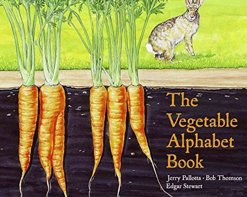 The Airplane Alphabet Book