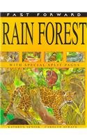 Rain Forest (Fast Forward)