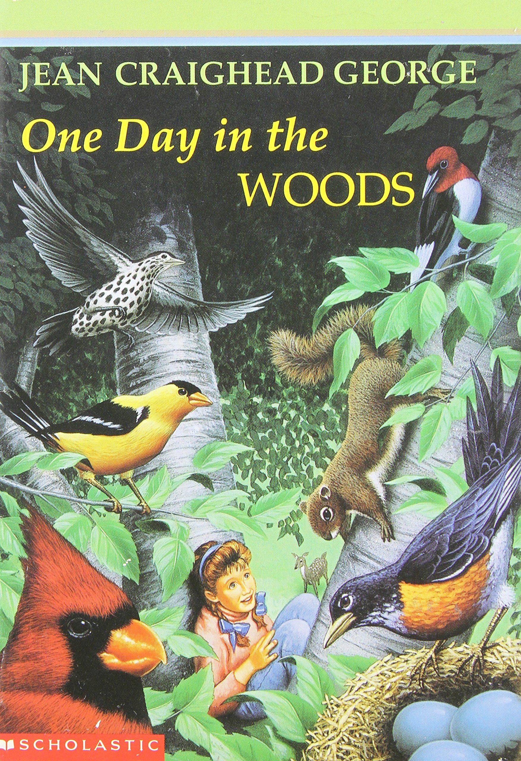 One Day in the Woods