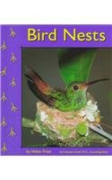 Bird Nests (Birds)