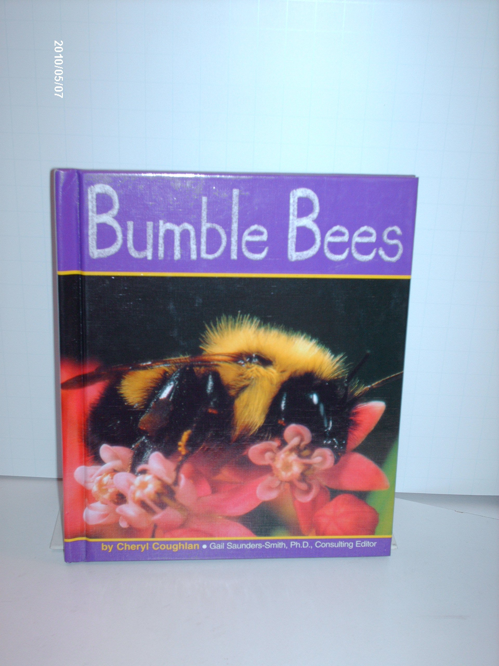 Bumble Bees (Insects)