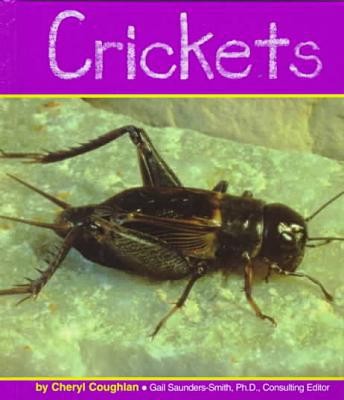 Crickets (Insects)