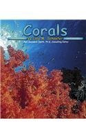 Corals (Ocean Life)