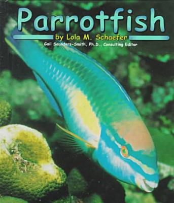 Parrotfish (Ocean Life)