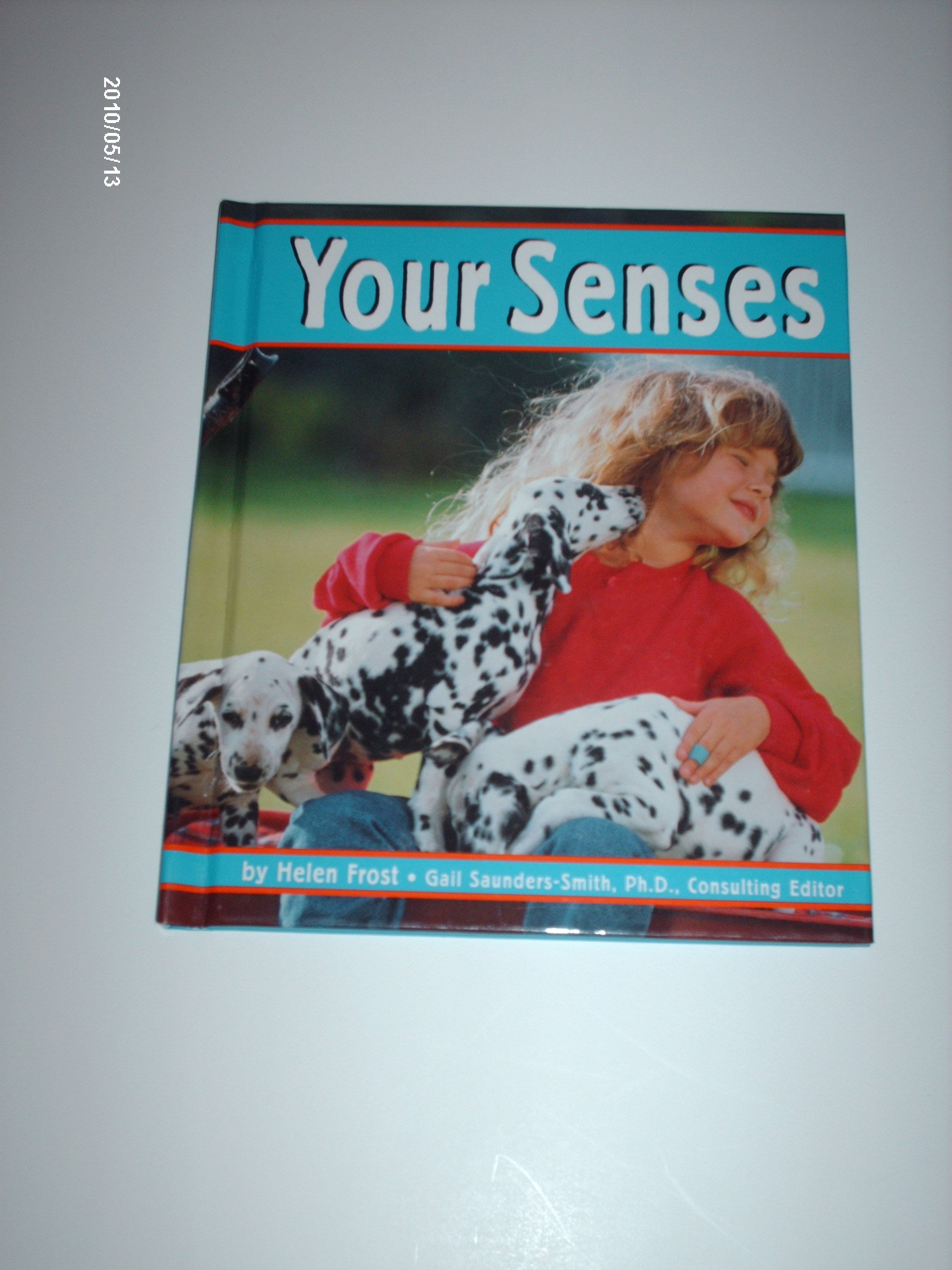Your Senses (The Senses)
