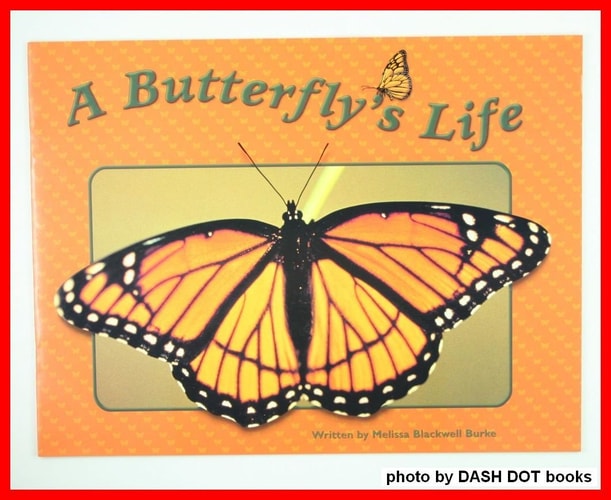 Steck-Vaughn Pair-It Books Transition 2-3: Leveled Reader Butterfly's Life, A, Butterflies