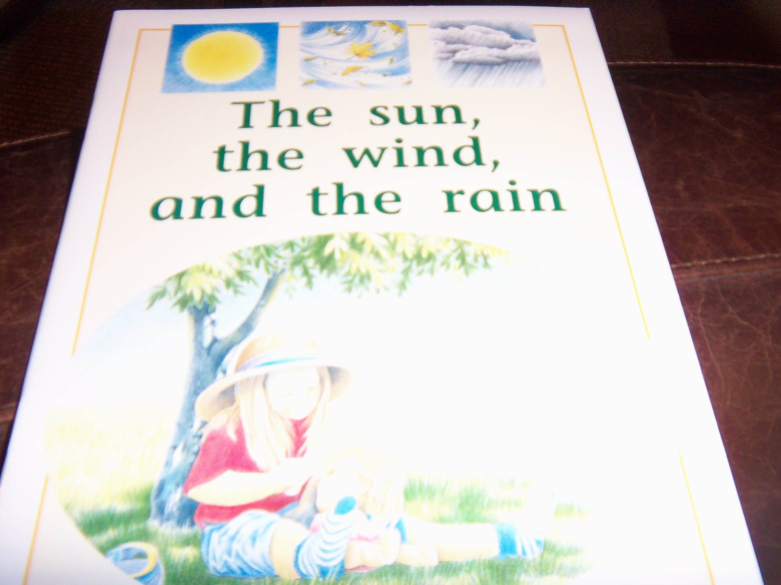 Rigby PM Plus: Individual Student Edition Yellow (Levels 6-8) the Sun, the Wind, and the Rain