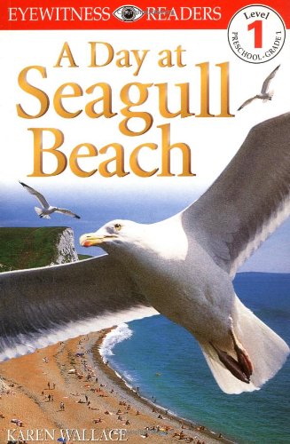 DK Readers: Day at Seagull Beach (Level 1: Beginning to Read)