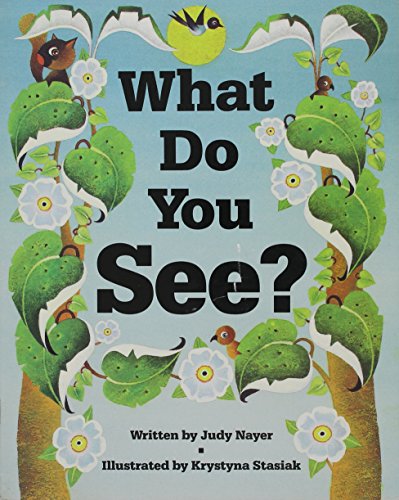 WHAT DO YOU SEE?, SINGLE COPY, DISCOVERY PHONICS ONE