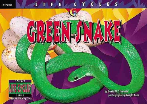 Green Snake (Life Cycles)