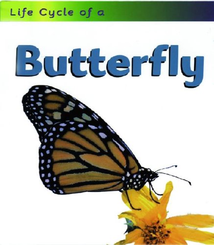 Butterfly (Life Cycle of a . . .)