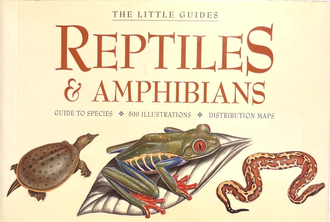 Reptiles & Amphibians (Little Guides)