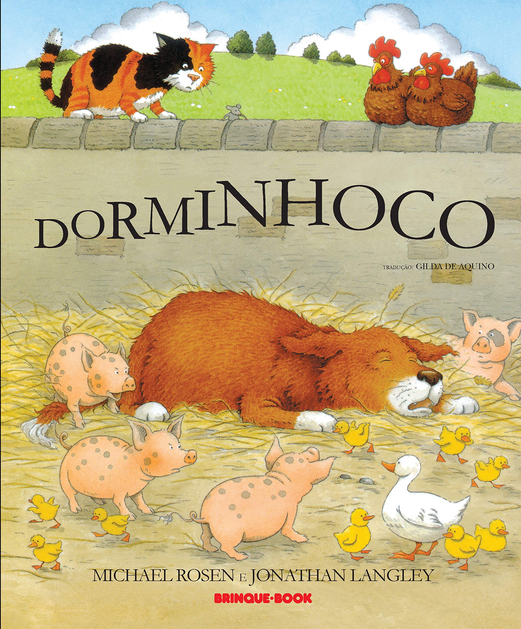 Dorminhoco (Em Portuguese do Brasil)