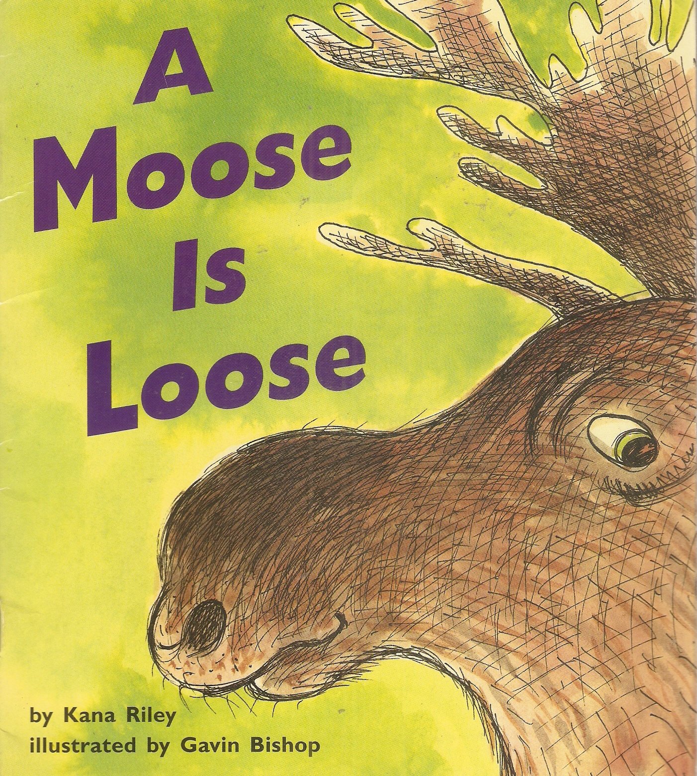 A Moose Is Loose (Invitations to Literacy, Book 25 Collection 1 Emergent)