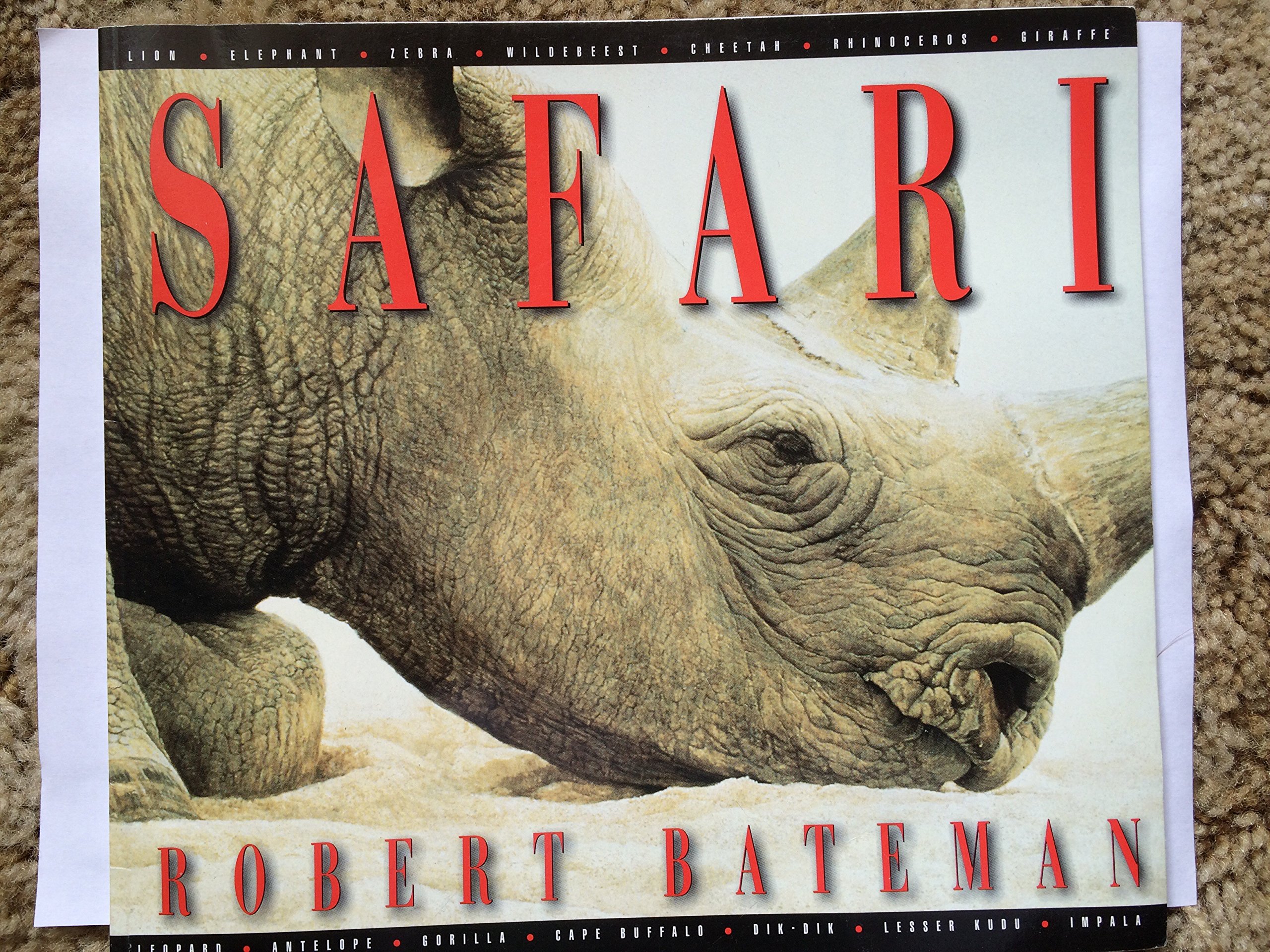 Safari