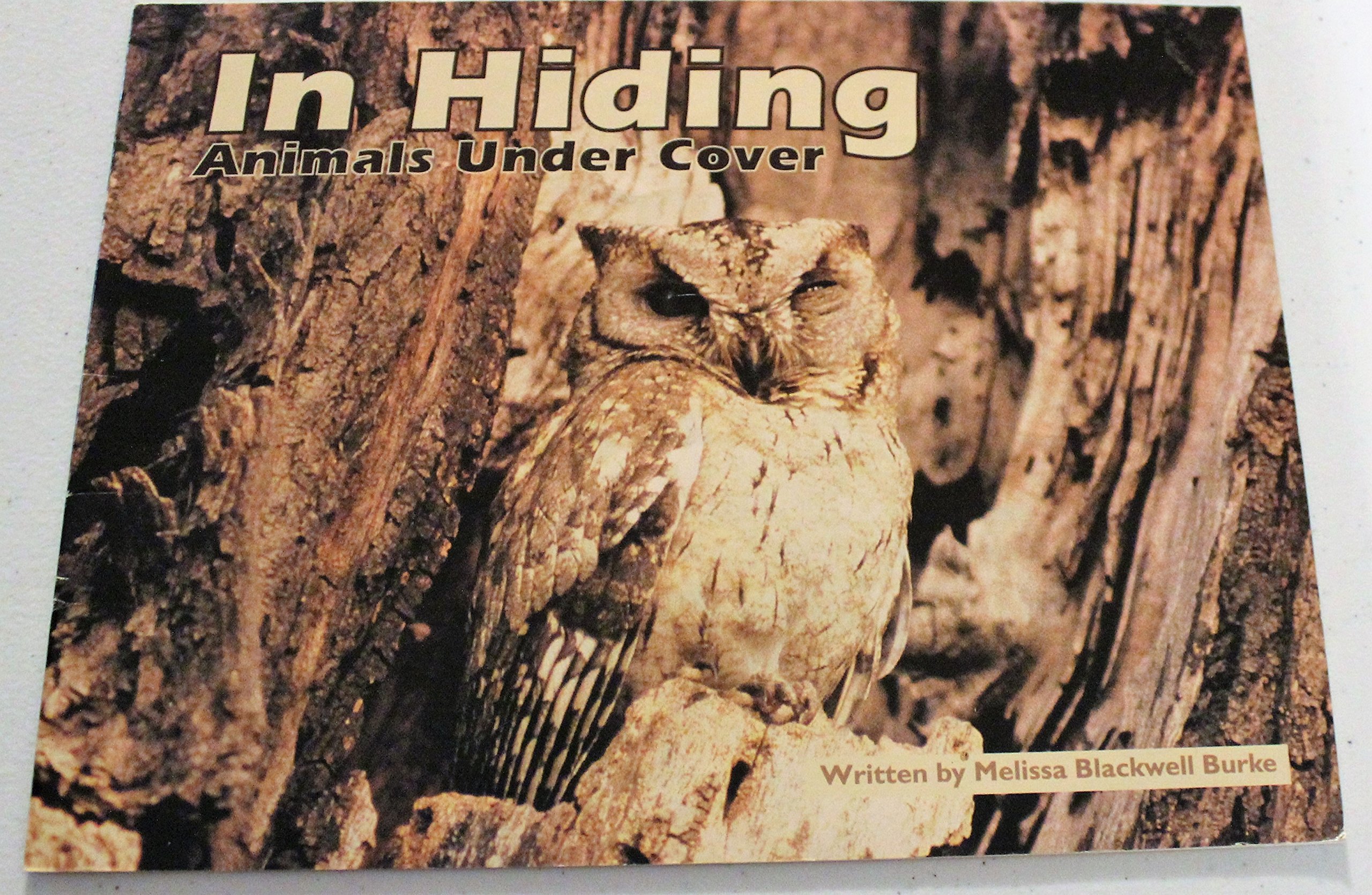 Steck-Vaughn Pair-It Books Transition 2-3: Leveled Reader In Hiding: Animals Under Cover, Animal Camouflage