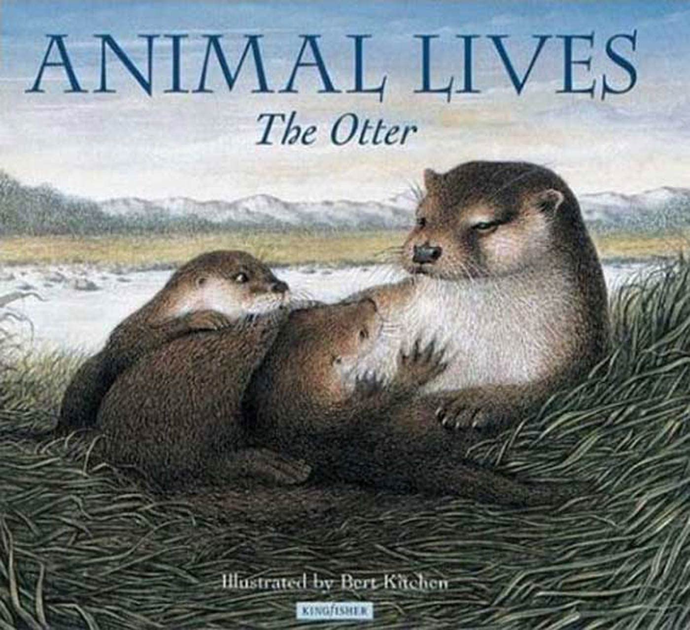 The Otter (Animal Lives)