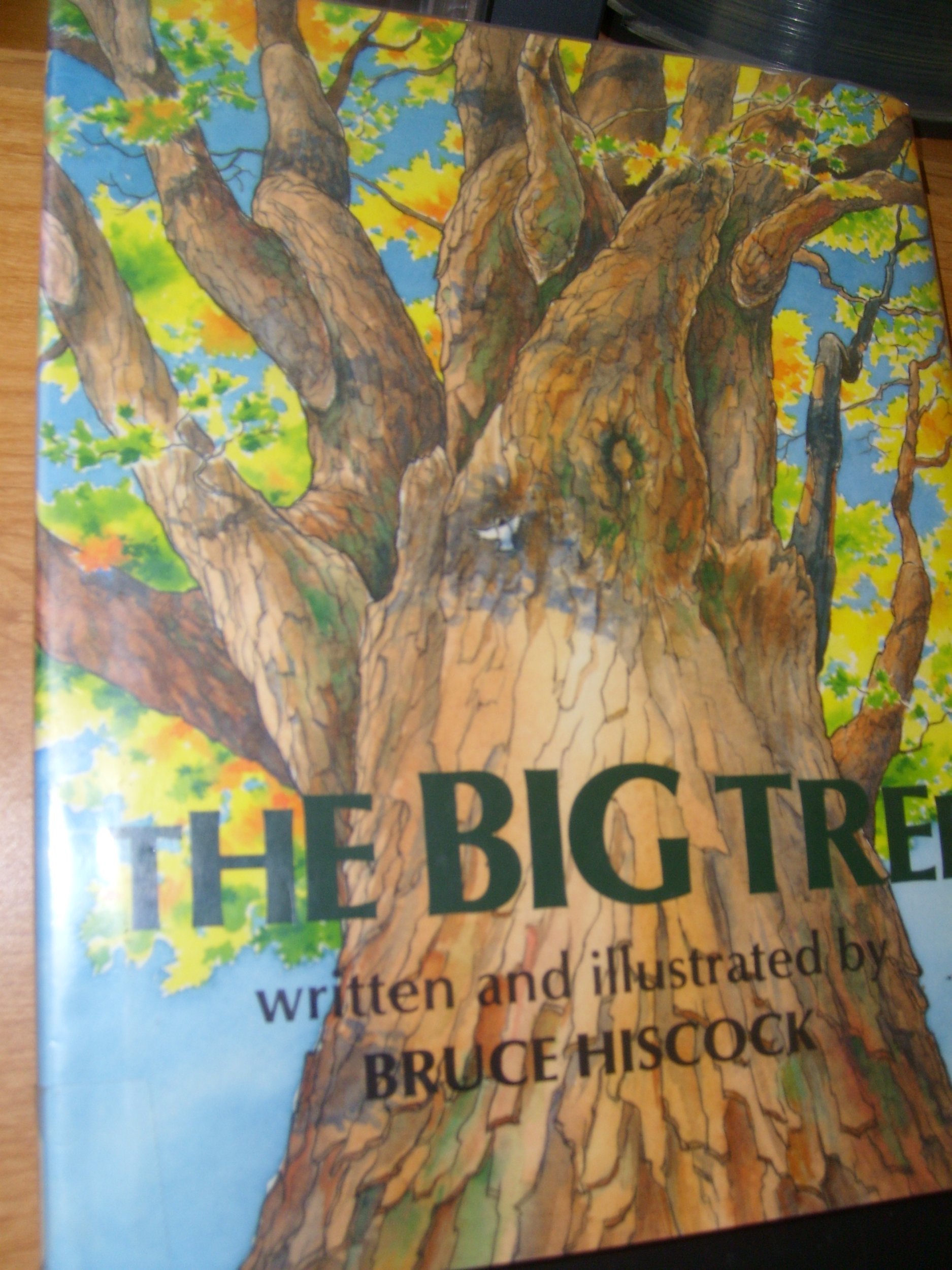 The Big Tree