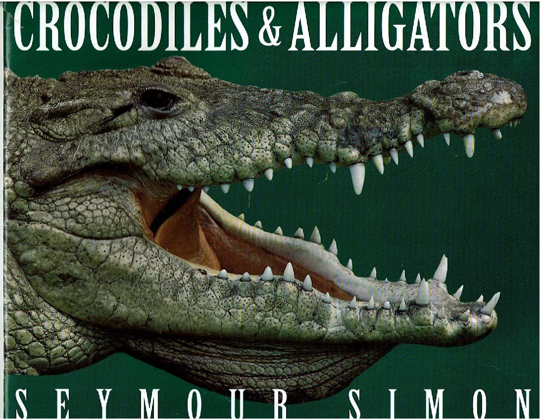 Crocodiles&Alligators