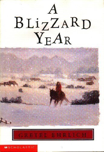 A Blizzard Year