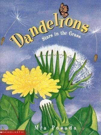 Dandelions: Stars in the Grass