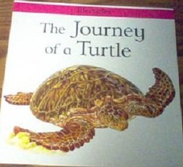 The Journey Of A Turtle