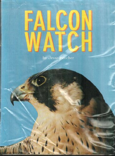 Falcon watch