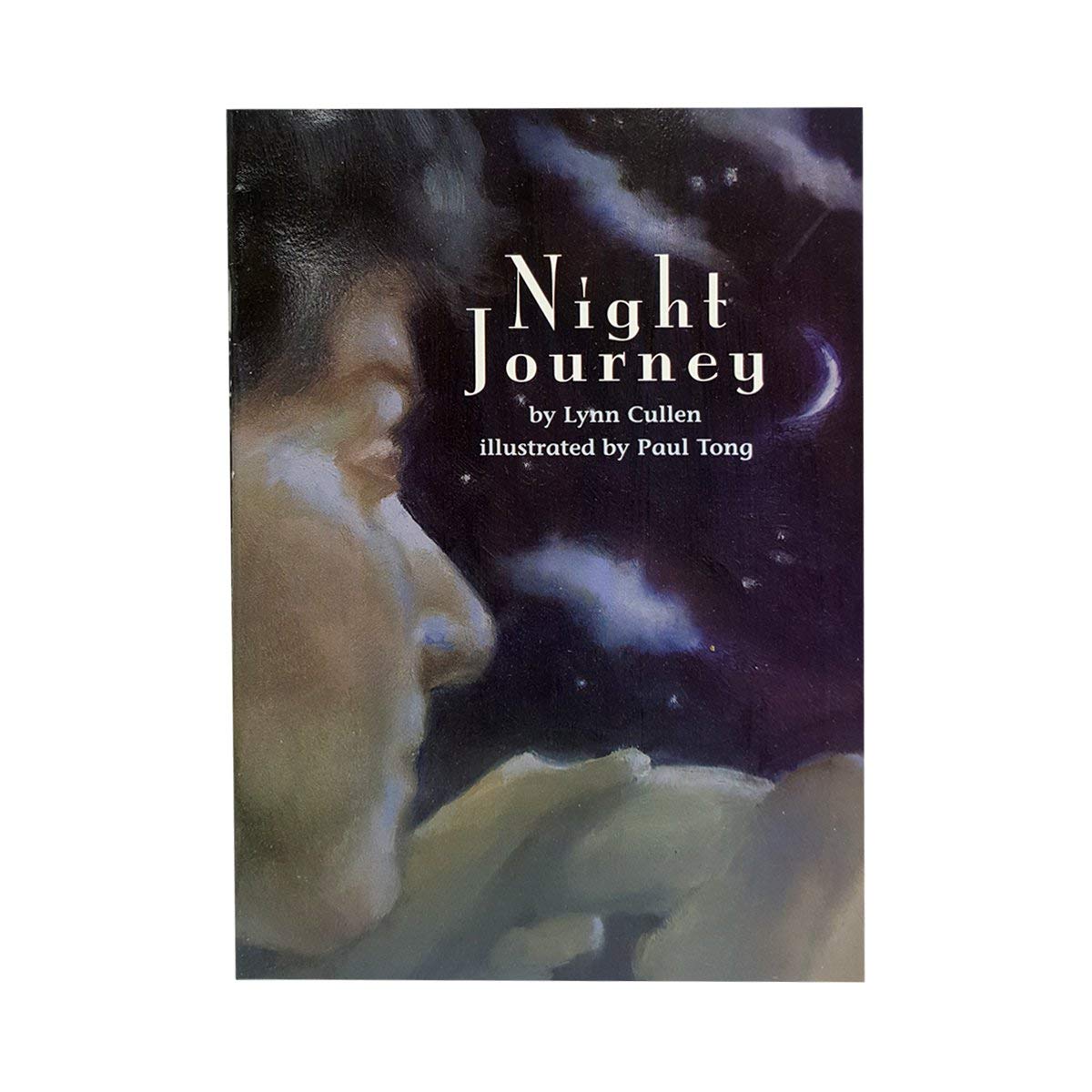 Night Journey (Leveled Reader 138B Scott Foresman)