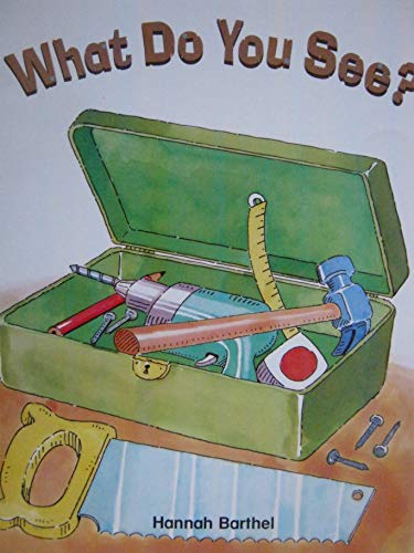 What Do You See? Big Phonics Storybook Level A