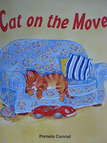 Cat On The Move Big Phonics Storybook Level A