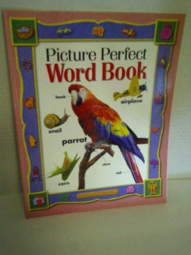 Picture Perfect Word Book (Avenues)