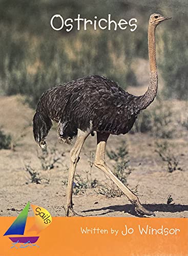 Ostriches , Nonfiction: Student Reader (Rigby Sails Fluent)