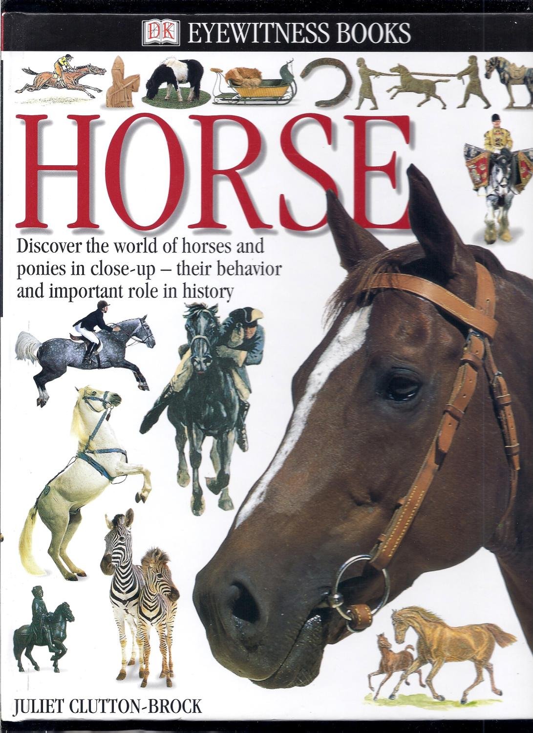 Horse (DK Eyewitness Books)