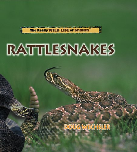 Rattlesnakes (The Really Wild Life of Snakes)