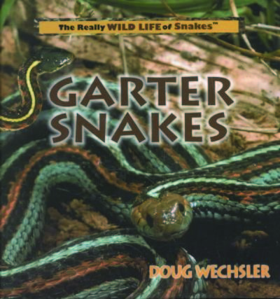 Garter Snakes (The Really Wild Life of Snakes)