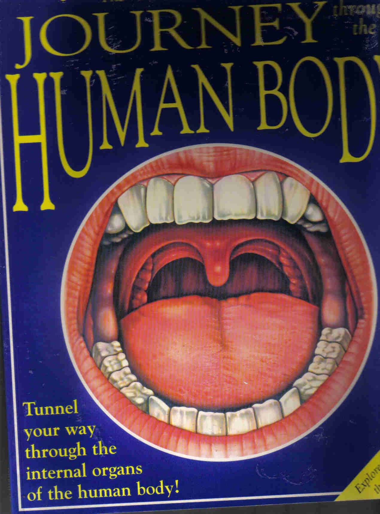 The Incredible Journey Through the Human Body