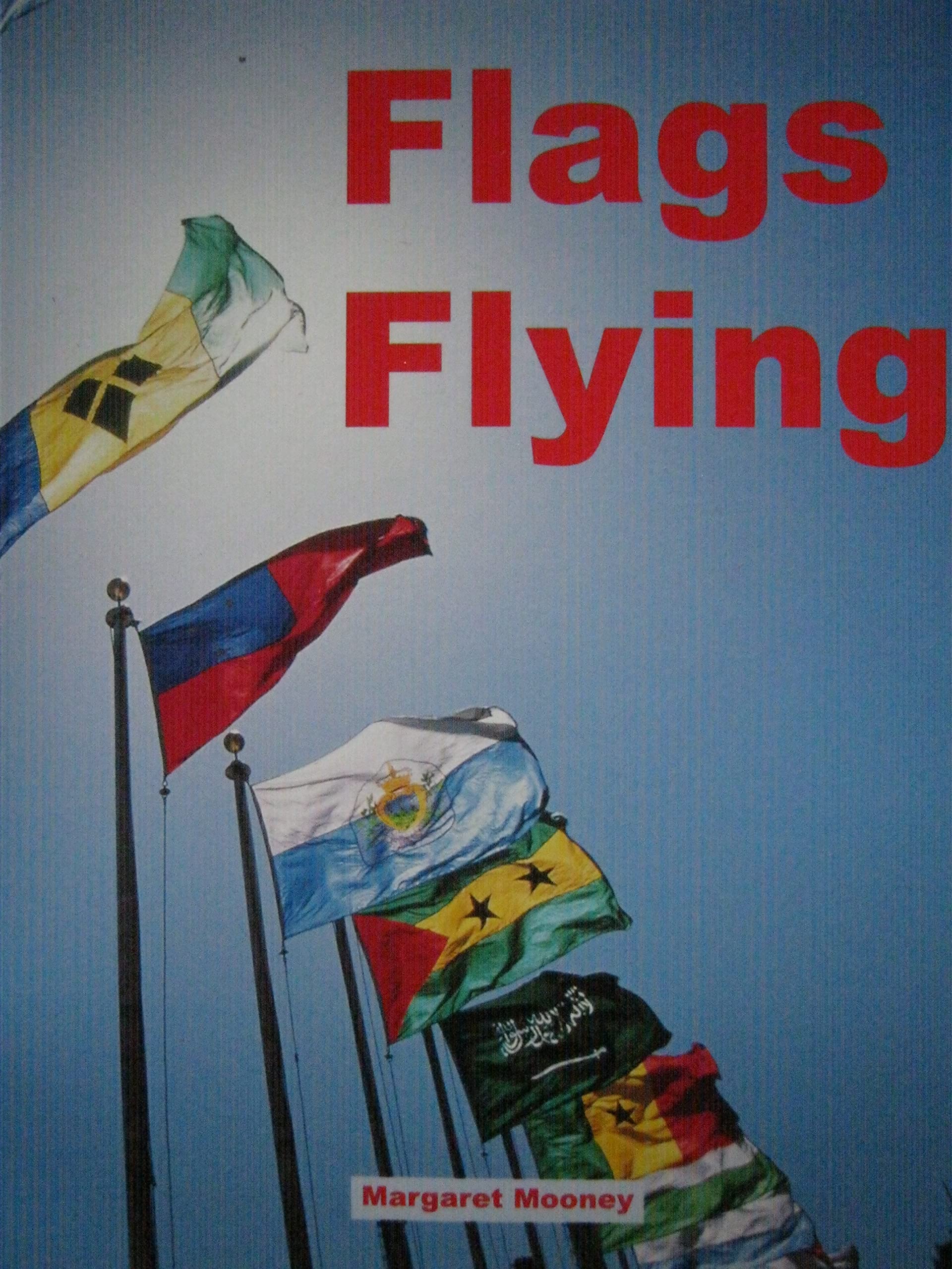 Flags flying (Newbridge discovery links)