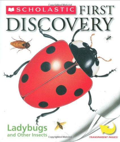 ladybugs-and-other-insects