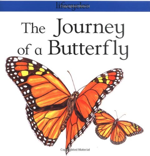 The Journey of a Butterfly (Lifecycles)